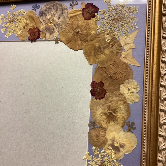 Vintage Dried Pressed Pansies Floral Gold Frame Art - Picture 3 of 11